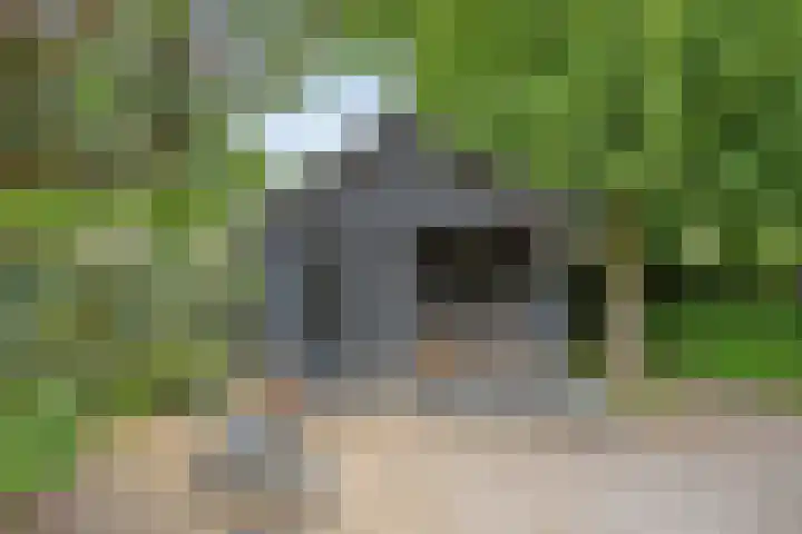 Ostaderstraat 6 Asten thumbnail 64