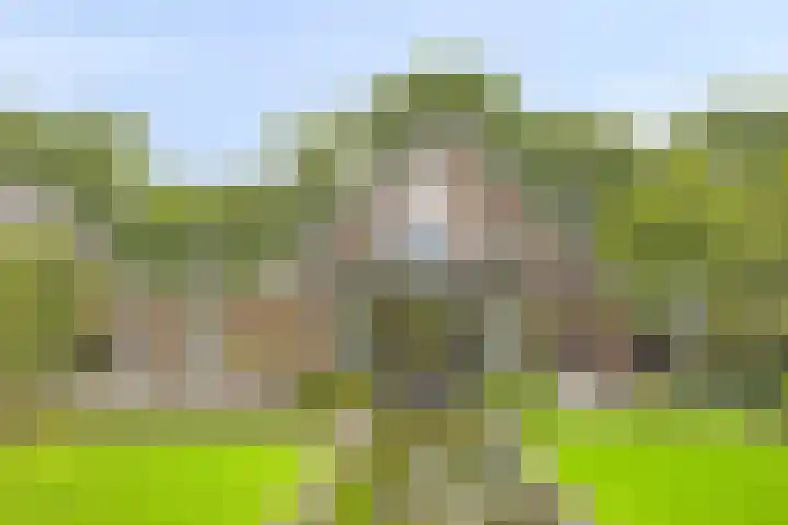 Ostaderstraat 6 Asten thumbnail 65