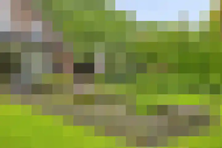 Ostaderstraat 6 Asten thumbnail 67