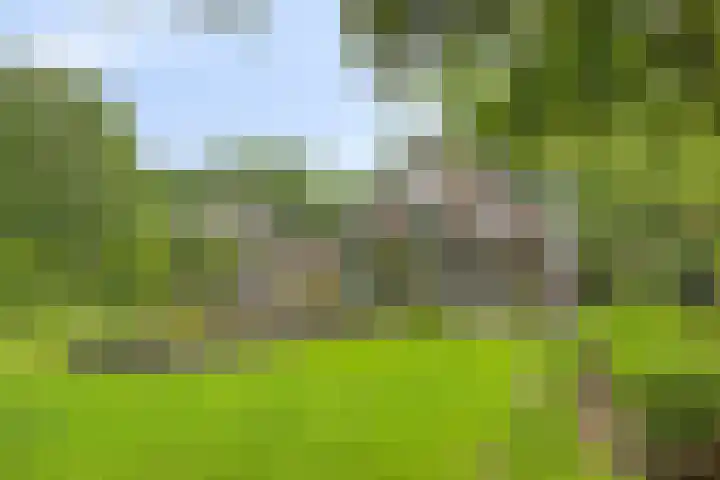 Ostaderstraat 6 Asten thumbnail 70