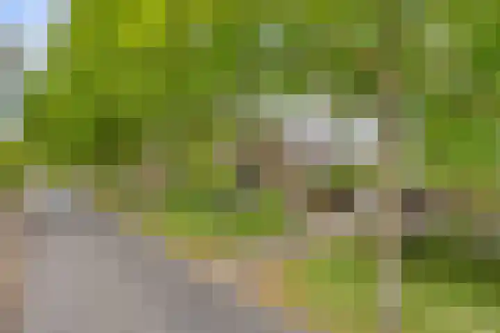 Ostaderstraat 6 Asten thumbnail 8