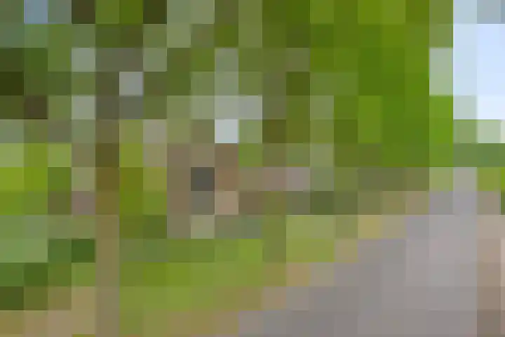 Ostaderstraat 6 Asten thumbnail 9