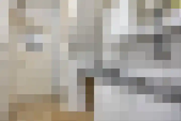 Ostendestraat 12 Goes thumbnail 11