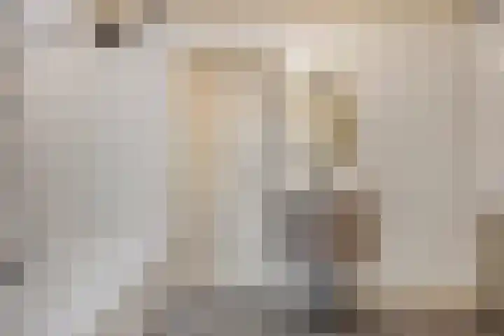 Ostendestraat 12 Goes thumbnail 16