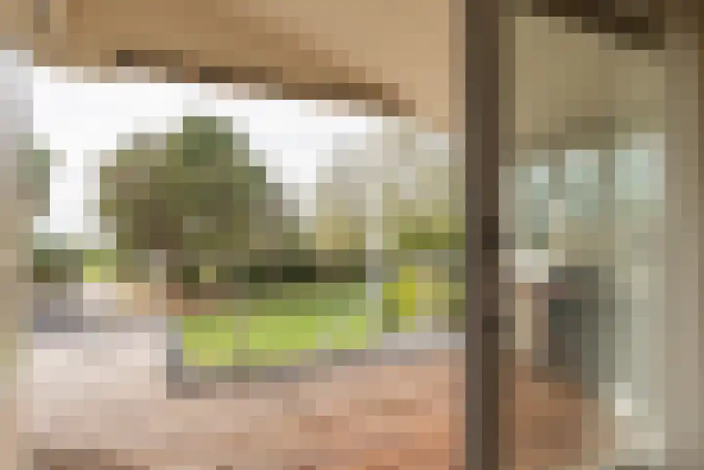 Ostrea 50 Kamperland thumbnail 19