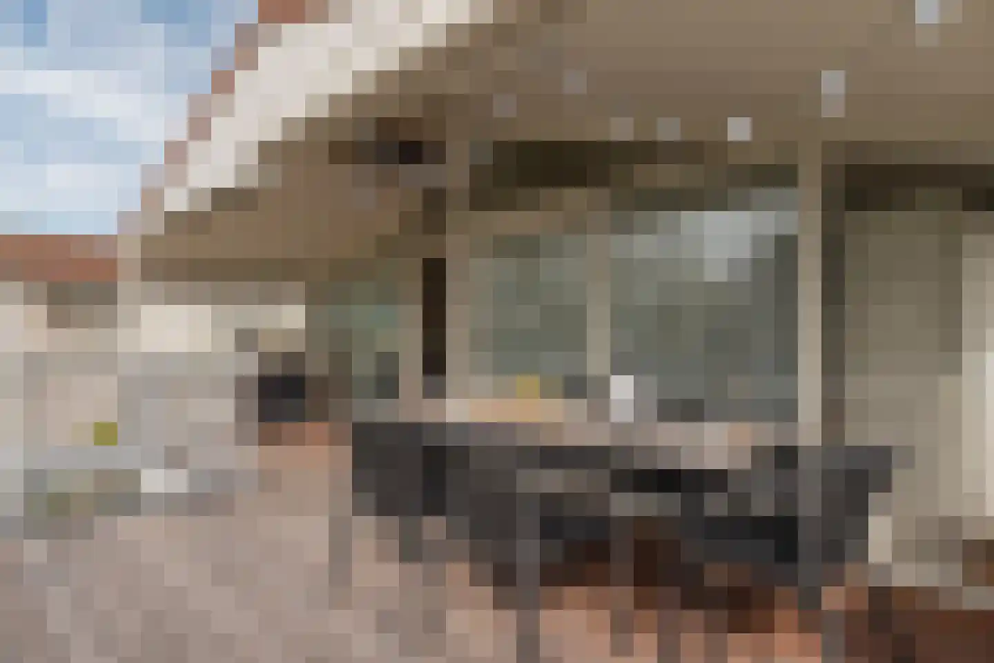 Ostrea 50 Kamperland thumbnail 21