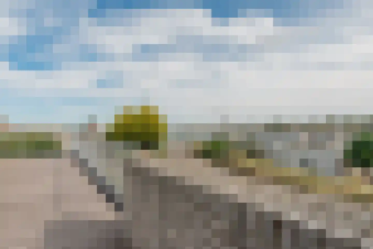 Ostrea 50 Kamperland thumbnail 24