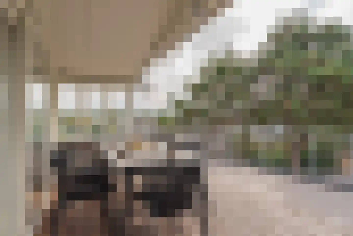 Ostrea 50 Kamperland thumbnail 25