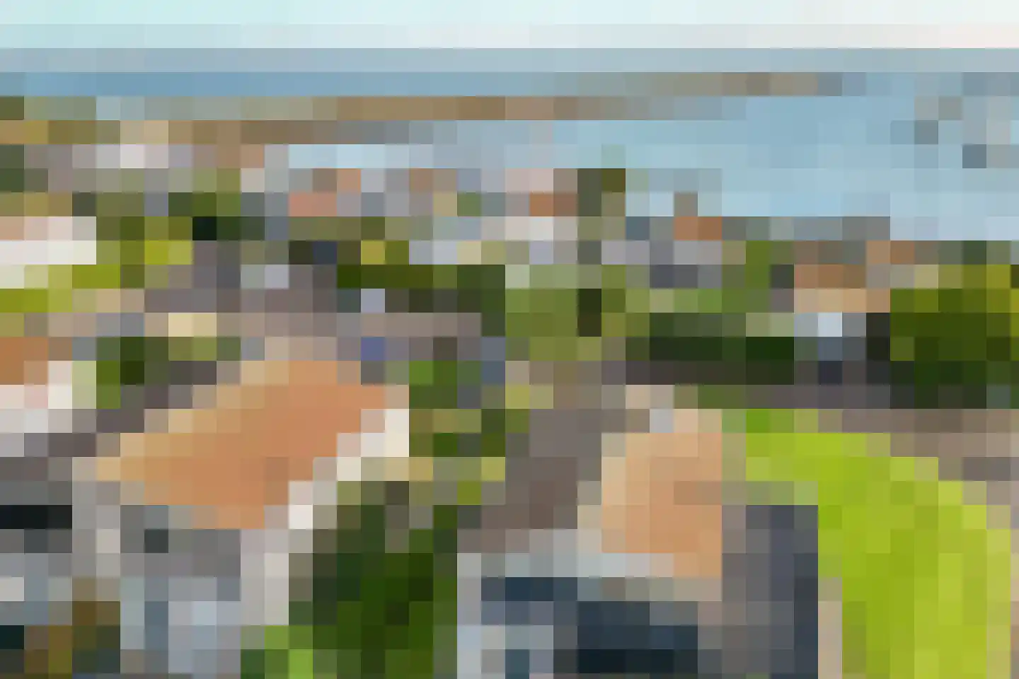 Ostrea 50 Kamperland thumbnail 4