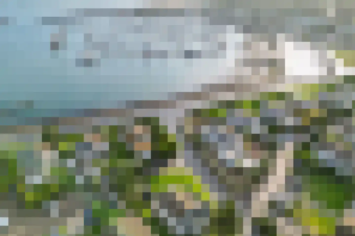 Ostrea 50 Kamperland thumbnail 41