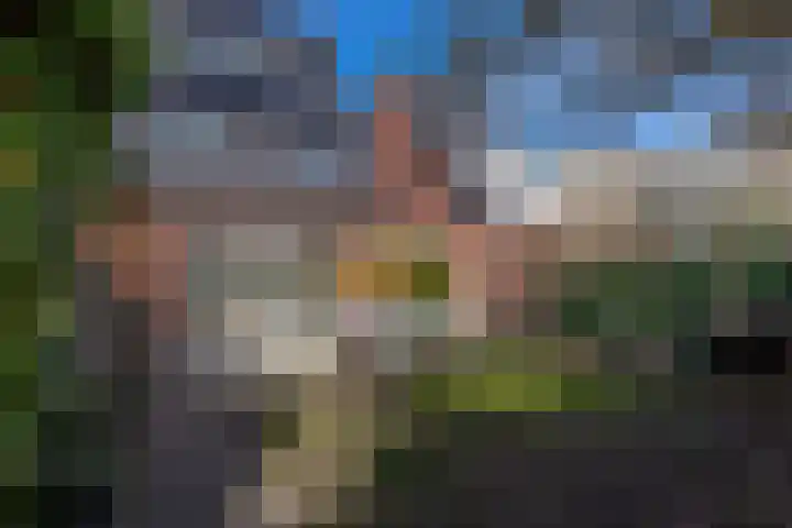 Ostrea 50 Kamperland thumbnail 6
