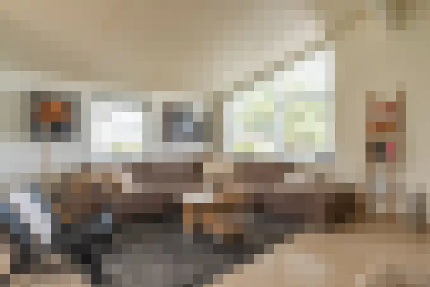 Ostrea 50 Kamperland thumbnail 7