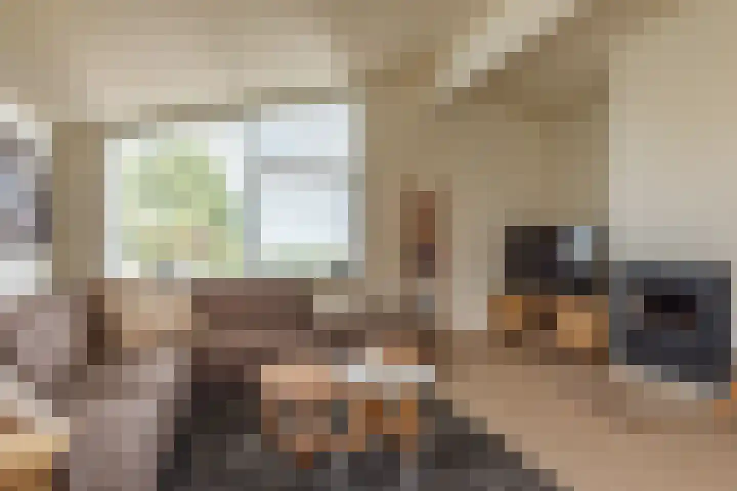 Ostrea 50 Kamperland thumbnail 8