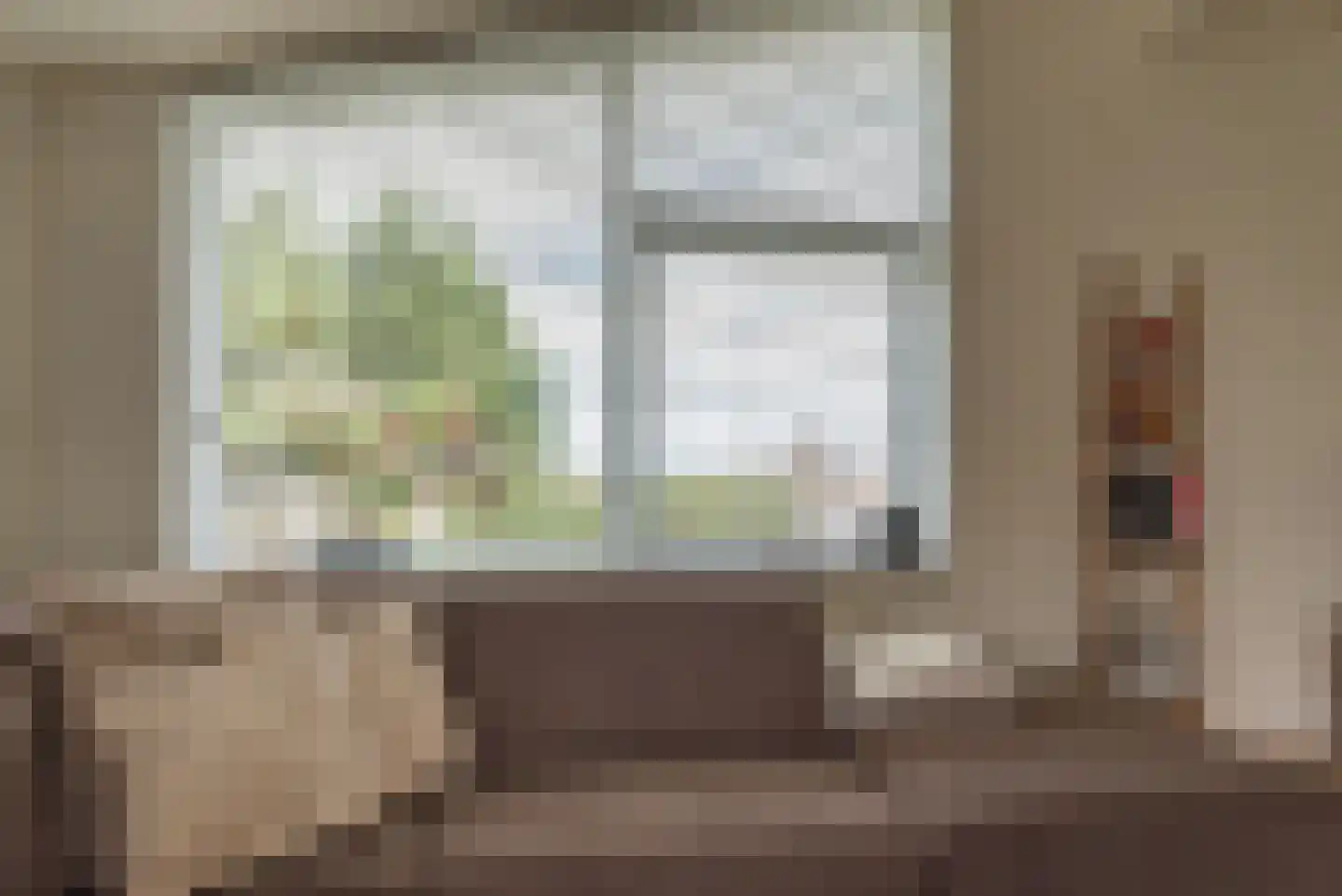 Ostrea 50 Kamperland thumbnail 9