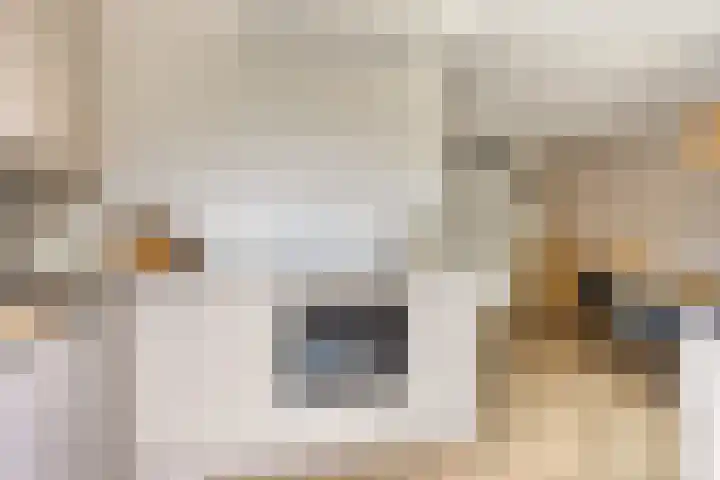 Otello 17 Kampen thumbnail 28