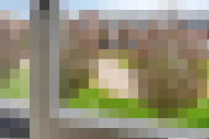 Otello 17 Kampen thumbnail 44
