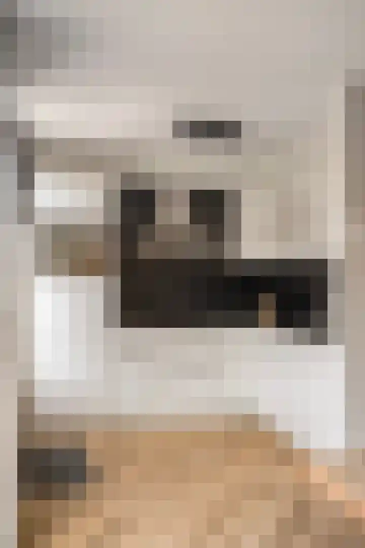 Otello 2 Kampen thumbnail 17