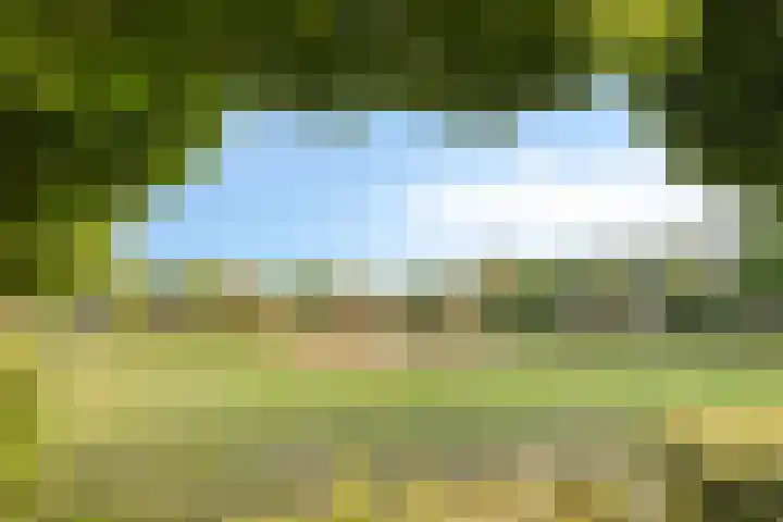Otello 2 Kampen thumbnail 60