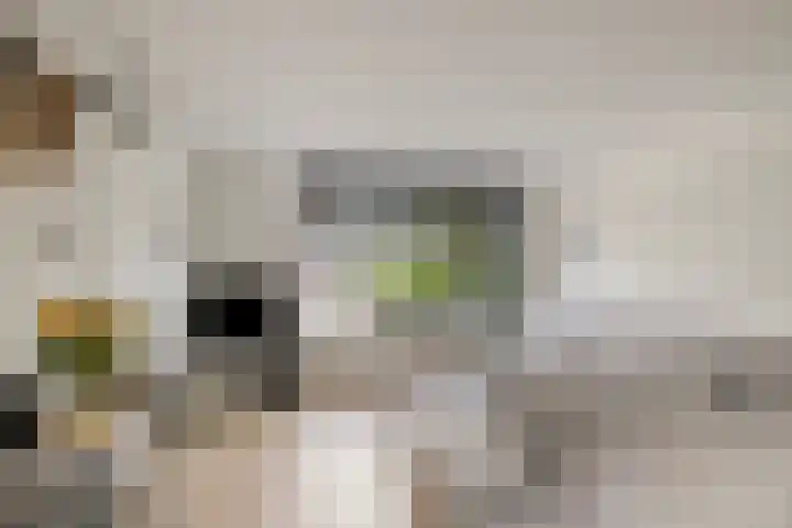 Otello 2 Kampen thumbnail 9