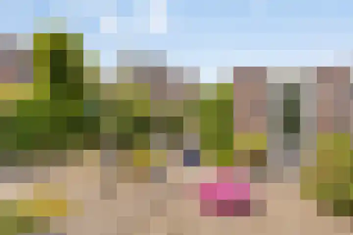 Otello 47 Kampen thumbnail 4