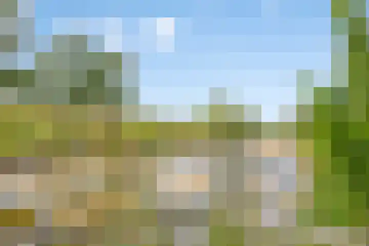 Otello 47 Kampen thumbnail 44