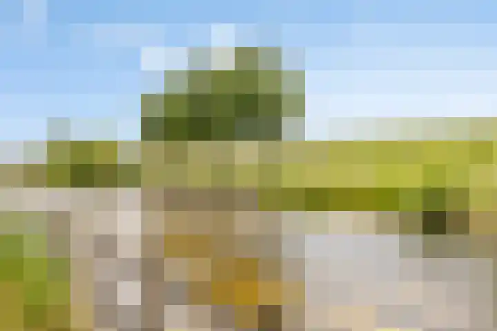 Otello 47 Kampen thumbnail 45