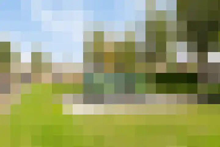 Otello 75 Eindhoven thumbnail 33