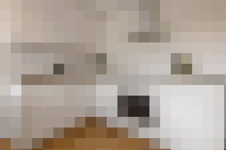 Othellodreef 45 A Utrecht thumbnail 10
