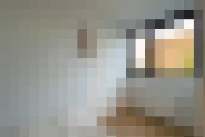 Othellodreef 45 A Utrecht thumbnail 17