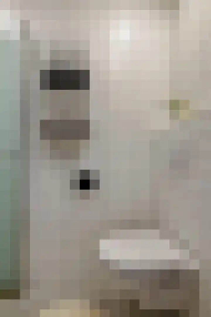Othellodreef 45 A Utrecht thumbnail 19