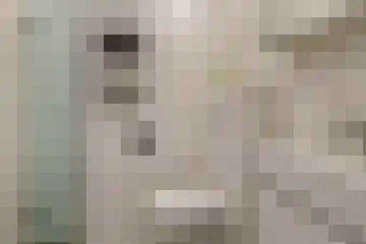 Othellodreef 45 A Utrecht thumbnail 21