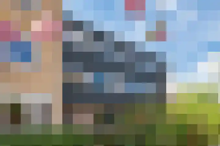 Othellodreef 45 A Utrecht thumbnail 25