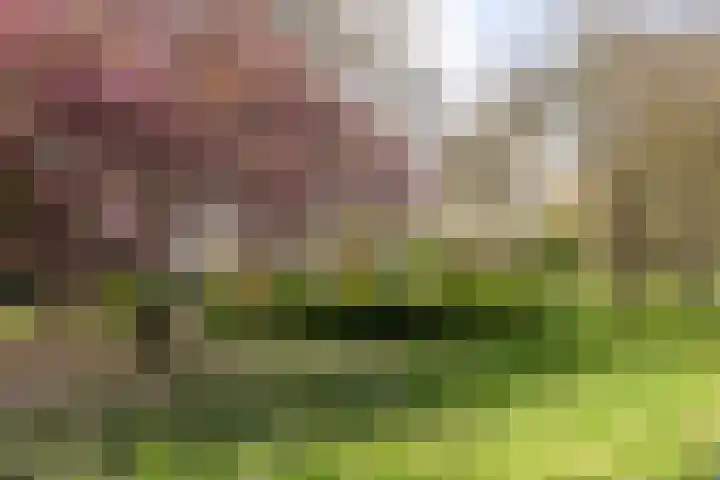 Othellodreef 45 A Utrecht thumbnail 29