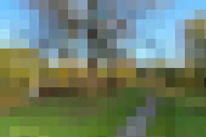 Othellodreef 45 A Utrecht thumbnail 33