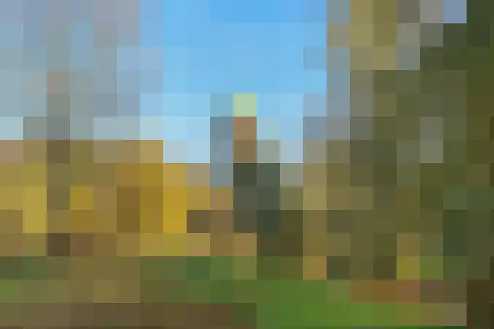 Othellodreef 45 A Utrecht thumbnail 34