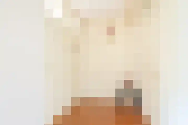 Othellodreef 63 Utrecht thumbnail 18