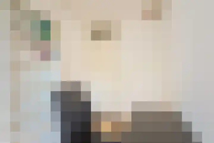Othellodreef 63 Utrecht thumbnail 30