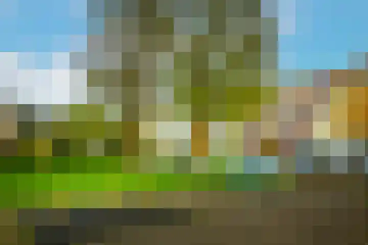 Othellodreef 63 Utrecht thumbnail 38