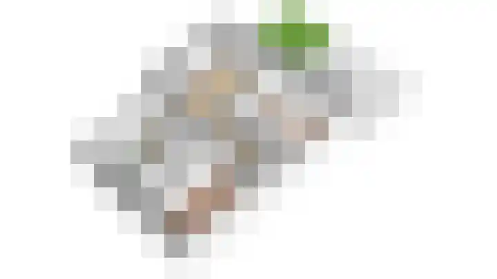 Othellodreef 63 Utrecht thumbnail 49
