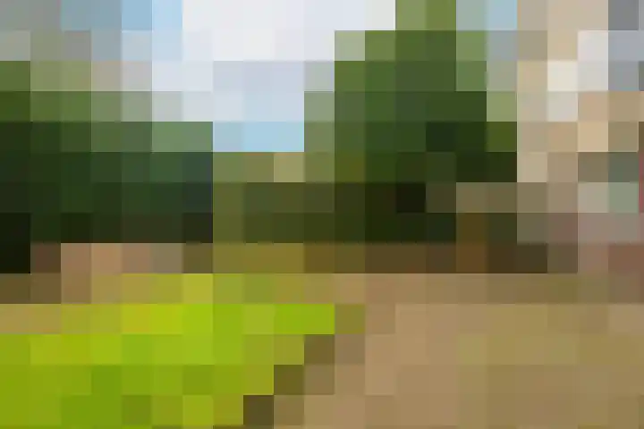 Othellodreef 63 Utrecht thumbnail 9