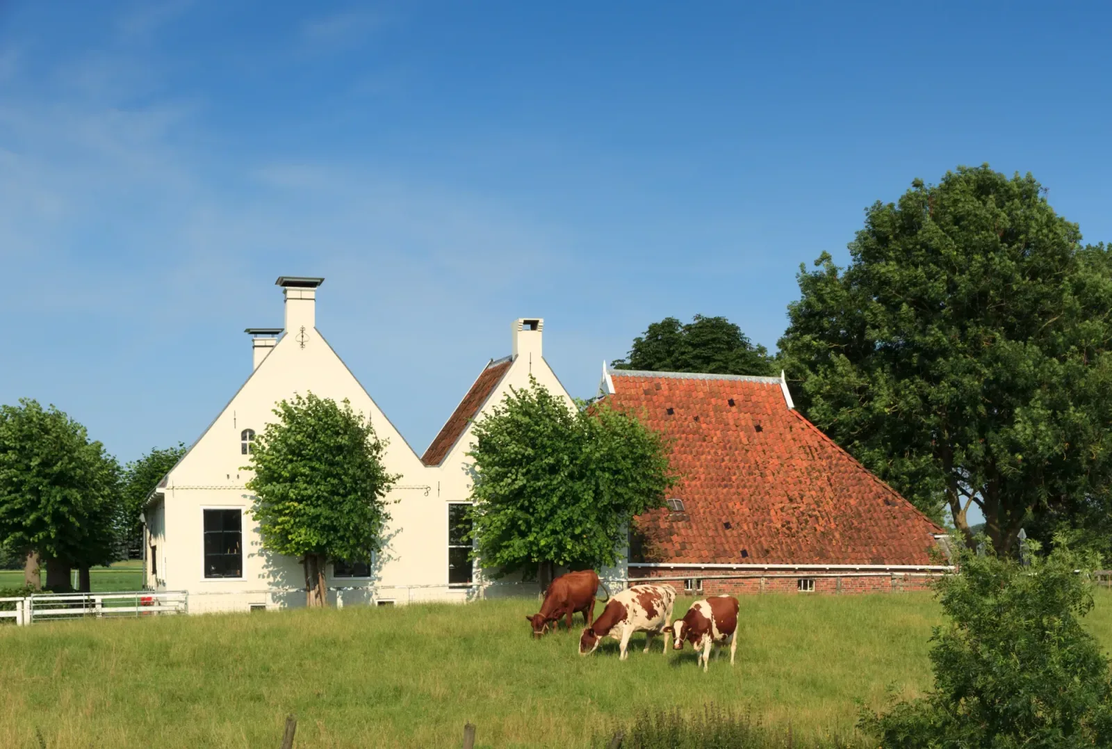 Team foto van Otten Bemiddeling en Adviezen BV