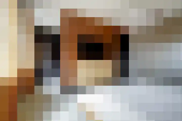 Otter 1 's-Gravenzande thumbnail 21