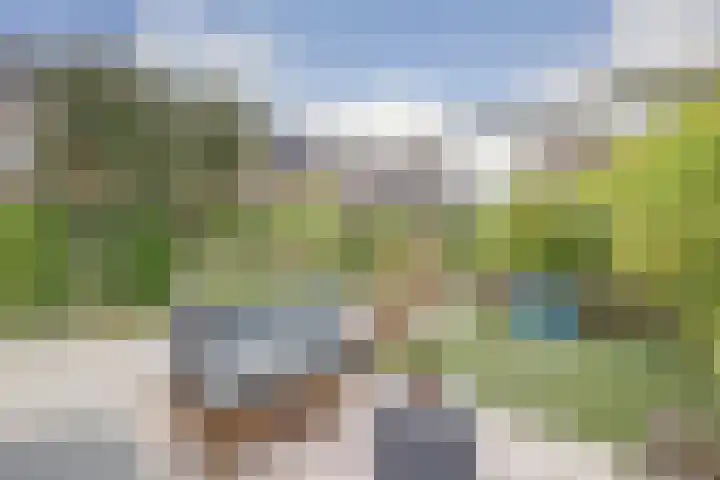Otter 1 's-Gravenzande thumbnail 28