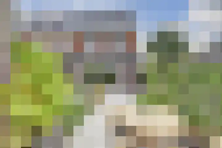 Otter 1 's-Gravenzande thumbnail 29