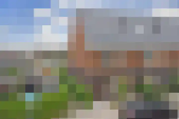 Otter 1 's-Gravenzande thumbnail 35