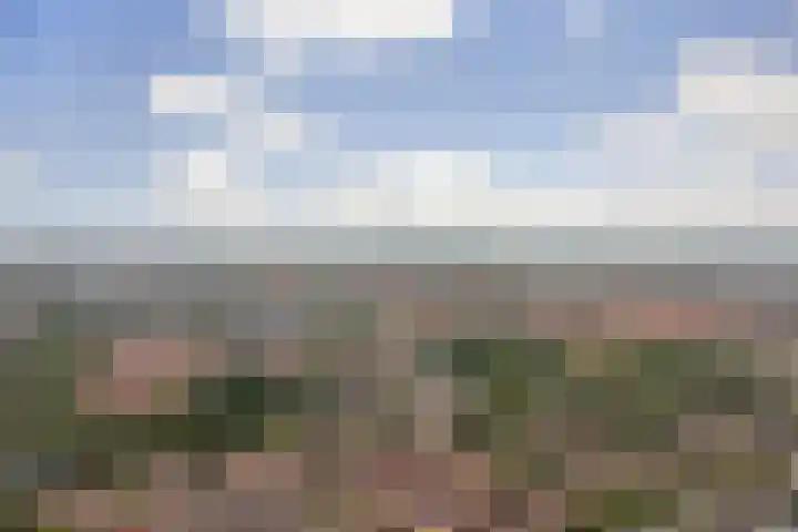 Otter 1 's-Gravenzande thumbnail 37