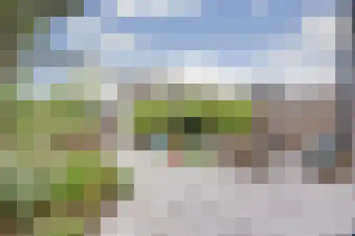 Otter 1 's-Gravenzande thumbnail 4