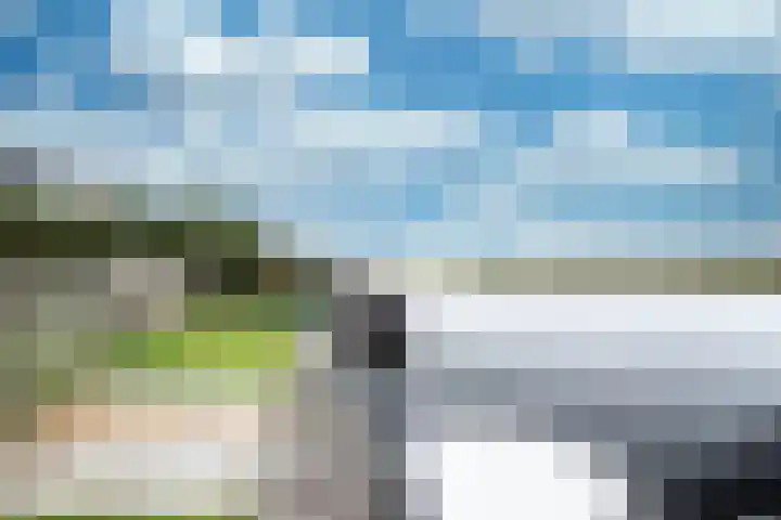 Otterbeek 4 Zwartsluis thumbnail 34