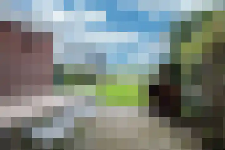 Otterbeek 4 Zwartsluis thumbnail 38