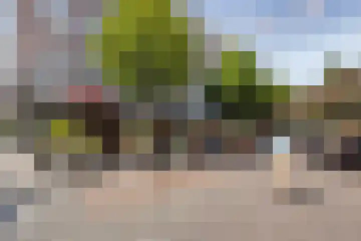 Otterhage 24 Berlicum thumbnail 13